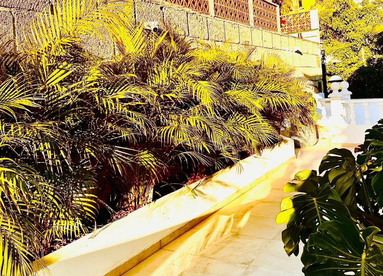 Villa Margarita Ocean View Costa Adeje   Costa Adeje (Tenerife)